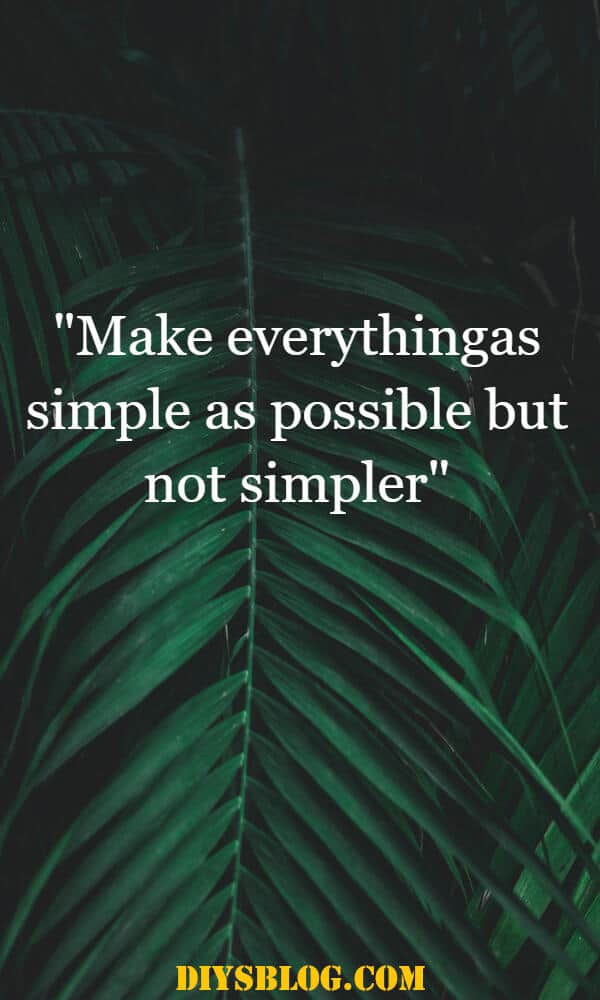 Collection Of 20 Albert Einstein Famous Quotes Collection Of 20 Albert Einstein Famous Quotes