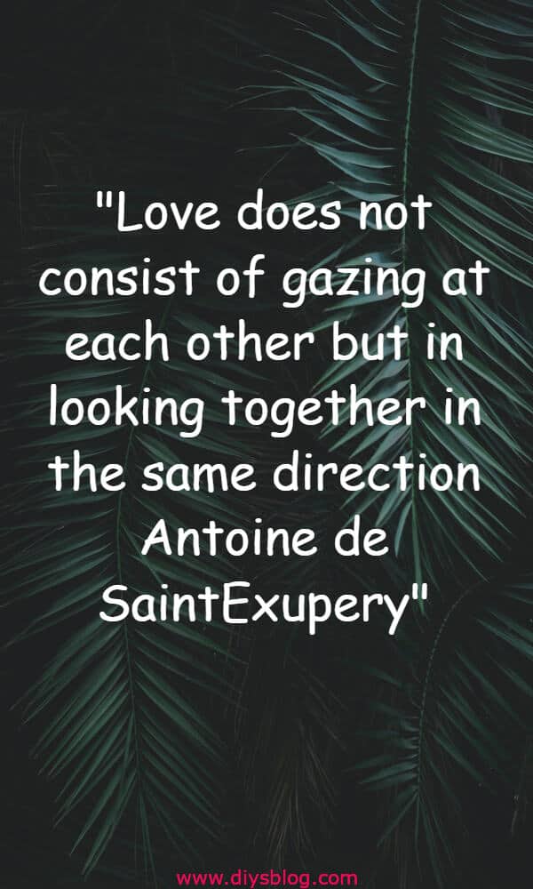 Must Read 20+ Love Quotes For Him Must Read 20+ Love Quotes For Him