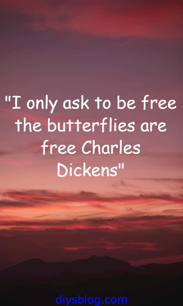 22 List Of Best Quotes All-time Collection 22 List Of Best Quotes All-time Collection
