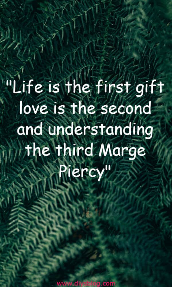 Must Read 20+ Love Quotes For Him Must Read 20+ Love Quotes For Him