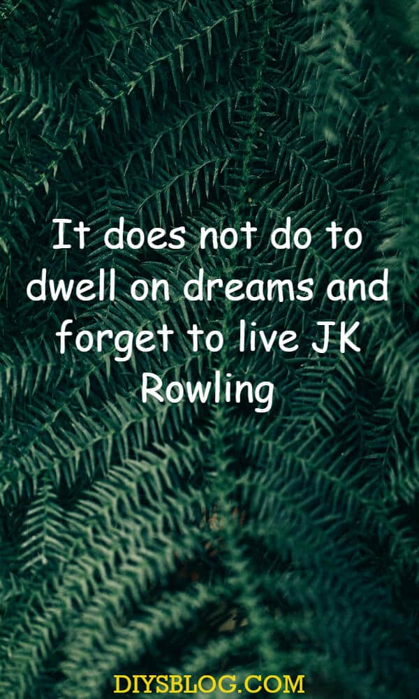Trendiest 20+ Dream Inspirational Quotes Collection Trendiest 20+ Dream Inspirational Quotes Collection