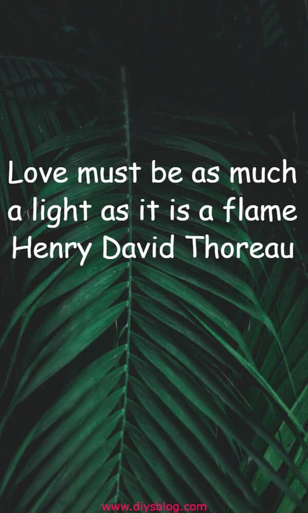 Must Read 20+ Love Quotes For Him Must Read 20+ Love Quotes For Him