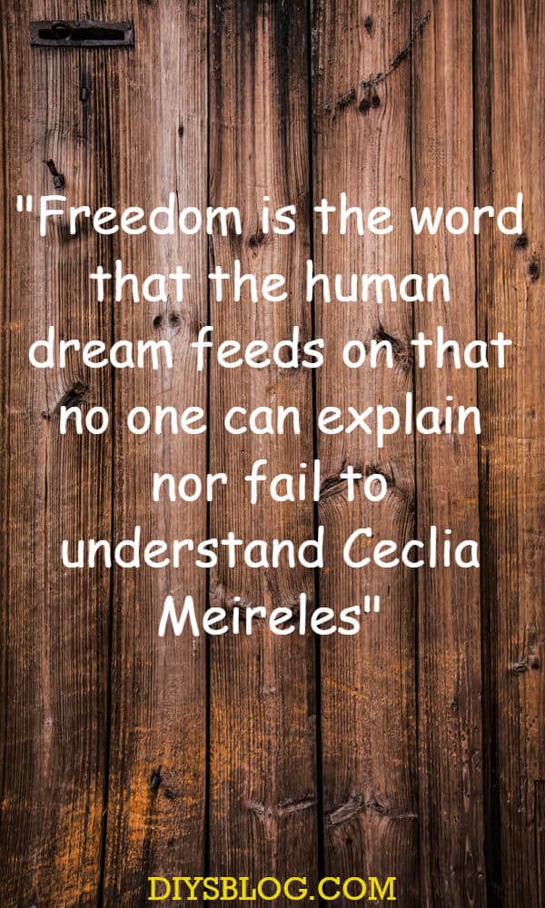 Trendiest 20+ Dream Inspirational Quotes Collection Trendiest 20+ Dream Inspirational Quotes Collection