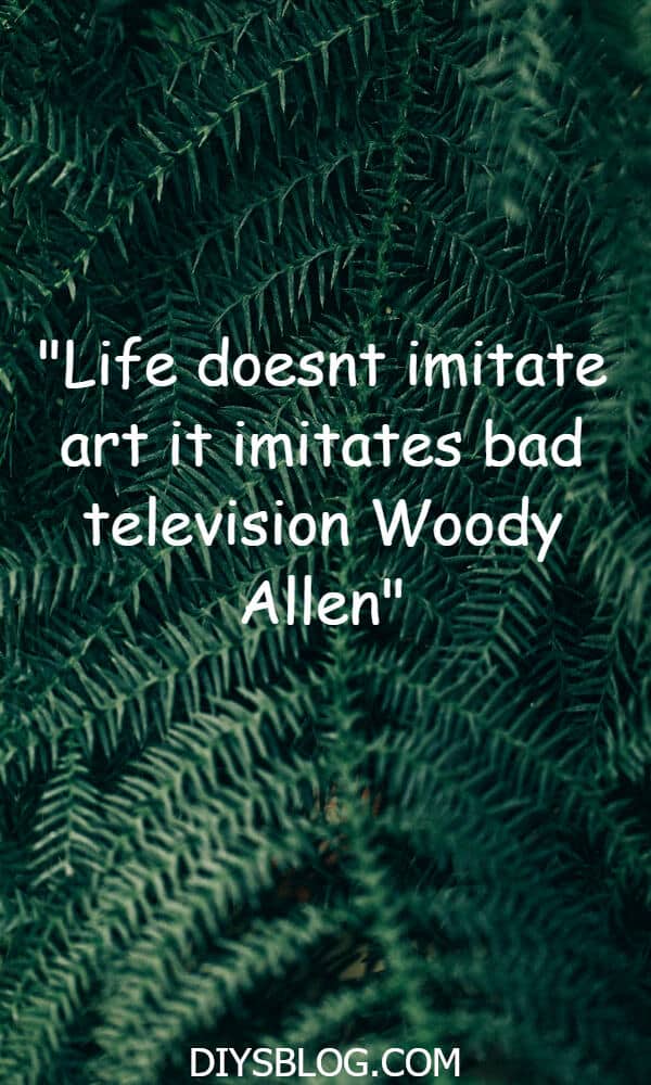 20+ Funny Quotes That Will Make You Lol 20+ Funny Quotes That Will Make You Lol