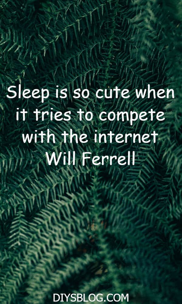 20+ Funny Quotes That Will Make You Lol 20+ Funny Quotes That Will Make You Lol