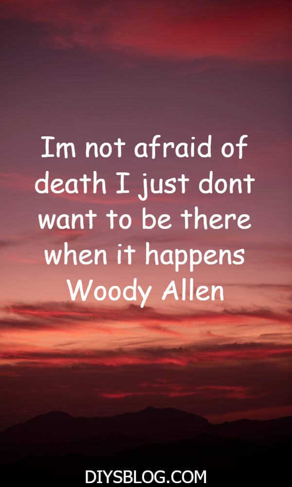 20+ Funny Quotes That Will Make You Lol 20+ Funny Quotes That Will Make You Lol